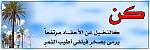 الصورة الرمزية bico