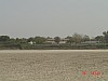 DSC02604.jpg