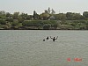 DSC02608.jpg